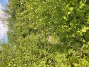 Arrivée au canal de Bernières à Conflans